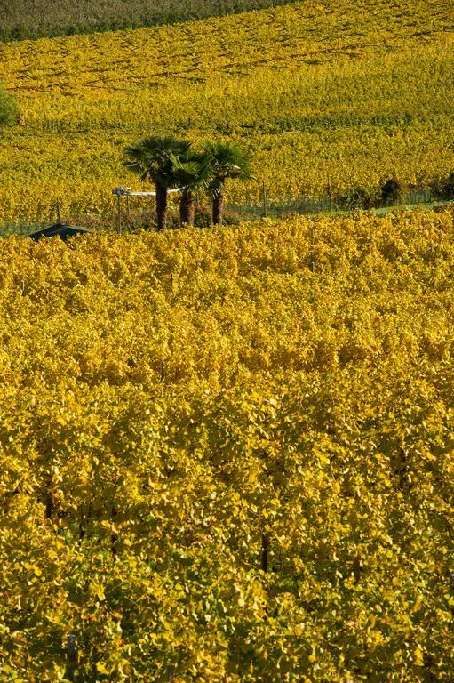 Weingut Wolkanhof Appiano Sulla Strada Del Vino Bagian luar foto