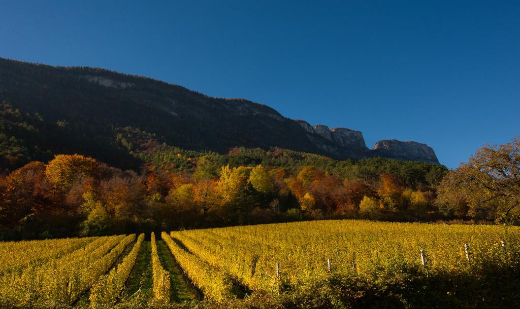 Weingut Wolkanhof Appiano Sulla Strada Del Vino Bagian luar foto