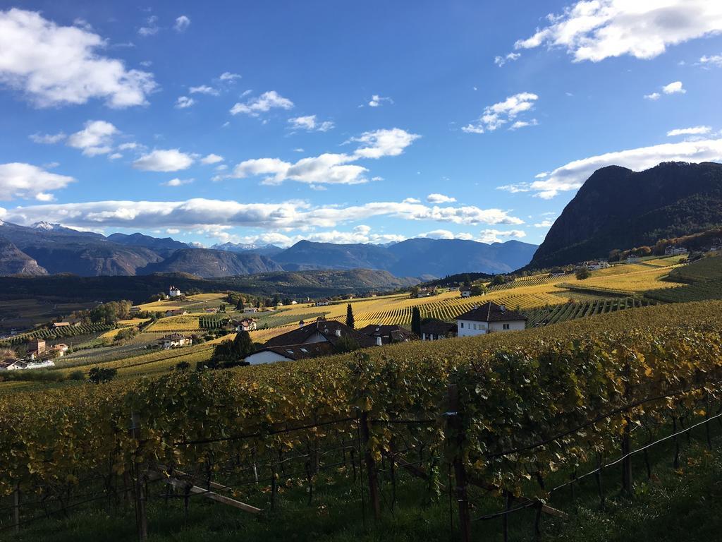 Weingut Wolkanhof Appiano Sulla Strada Del Vino Bagian luar foto