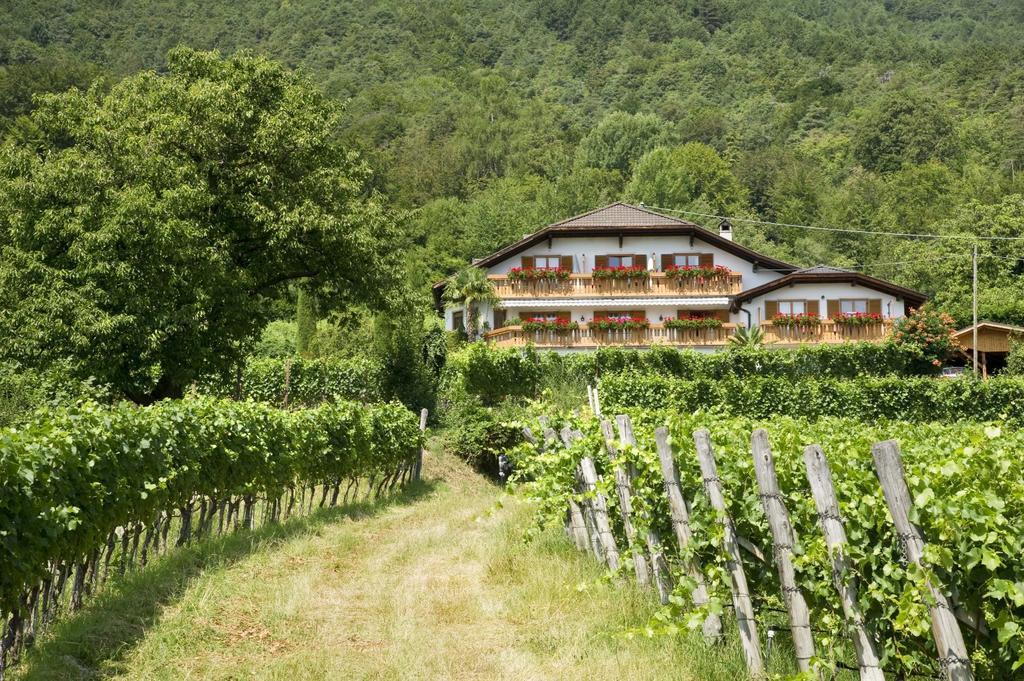 Weingut Wolkanhof Appiano Sulla Strada Del Vino Bagian luar foto