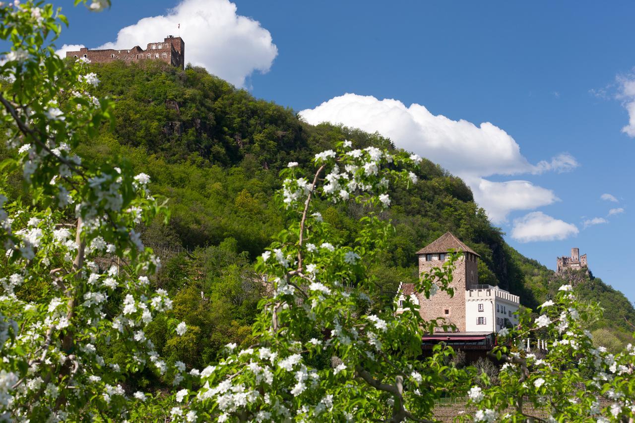 Weingut Wolkanhof Appiano Sulla Strada Del Vino Bagian luar foto